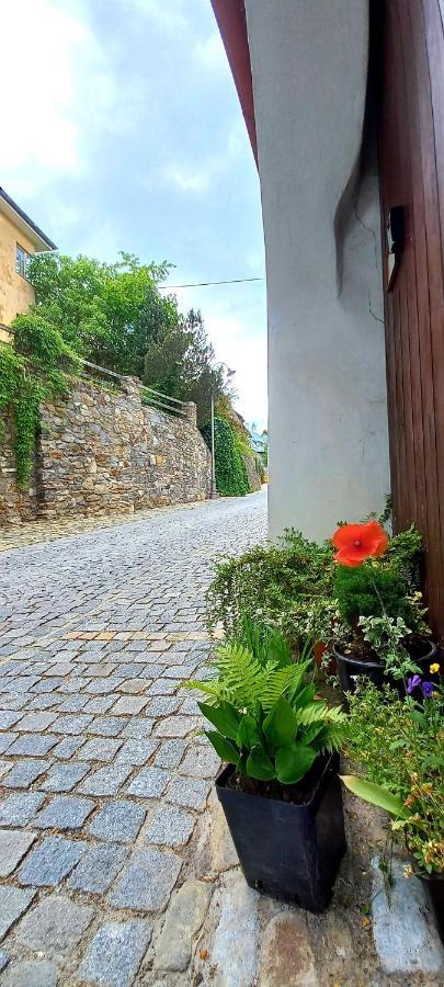Penzion Merlin Cesky Krumlov Exterior foto