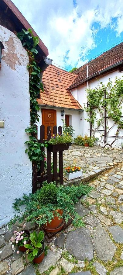 Penzion Merlin Cesky Krumlov Exterior foto