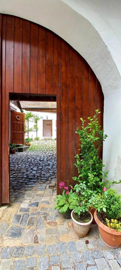 Penzion Merlin Cesky Krumlov Exterior foto